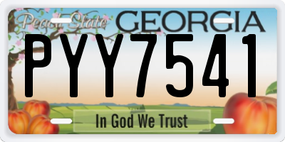 GA license plate PYY7541