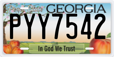 GA license plate PYY7542