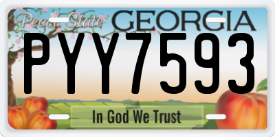 GA license plate PYY7593