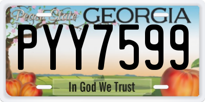 GA license plate PYY7599