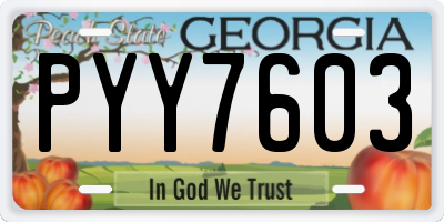 GA license plate PYY7603