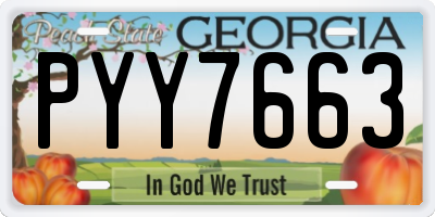 GA license plate PYY7663