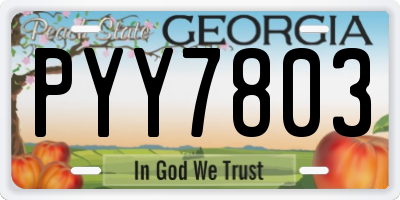 GA license plate PYY7803