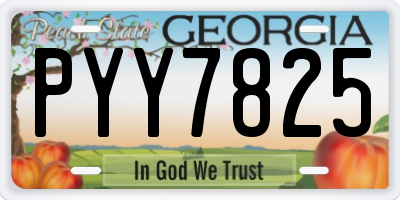 GA license plate PYY7825
