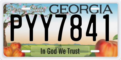 GA license plate PYY7841