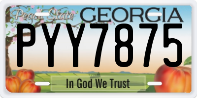 GA license plate PYY7875