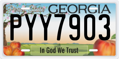 GA license plate PYY7903