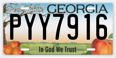 GA license plate PYY7916