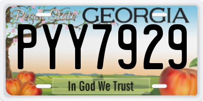 GA license plate PYY7929