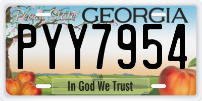 GA license plate PYY7954