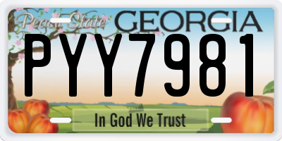 GA license plate PYY7981