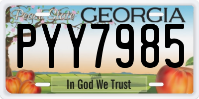 GA license plate PYY7985