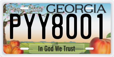 GA license plate PYY8001