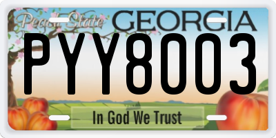 GA license plate PYY8003