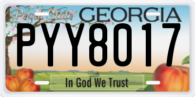 GA license plate PYY8017