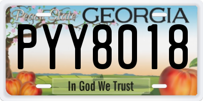 GA license plate PYY8018