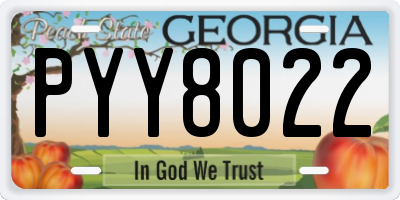 GA license plate PYY8022