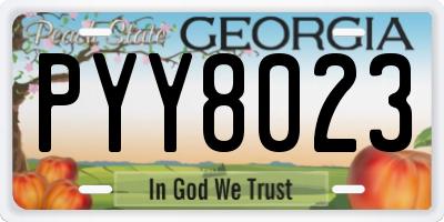 GA license plate PYY8023