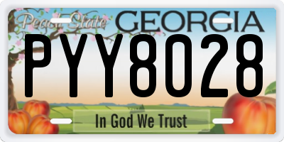 GA license plate PYY8028