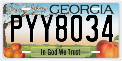 GA license plate PYY8034