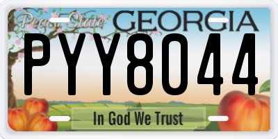 GA license plate PYY8044
