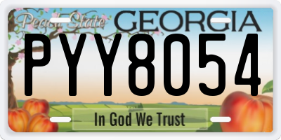 GA license plate PYY8054