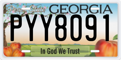 GA license plate PYY8091