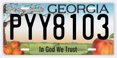 GA license plate PYY8103