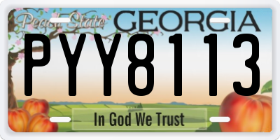 GA license plate PYY8113