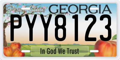 GA license plate PYY8123