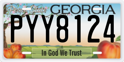 GA license plate PYY8124