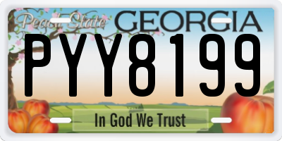 GA license plate PYY8199