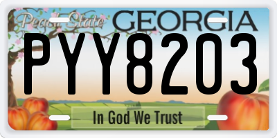 GA license plate PYY8203