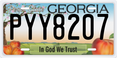 GA license plate PYY8207