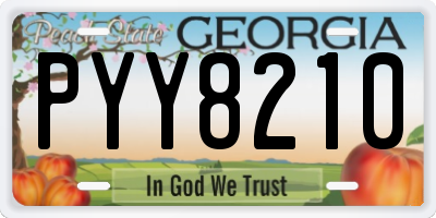 GA license plate PYY8210