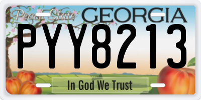 GA license plate PYY8213