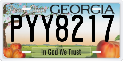 GA license plate PYY8217