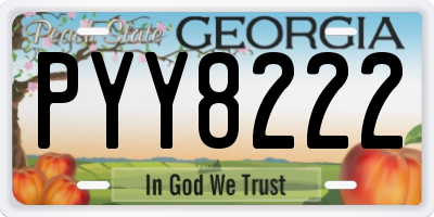 GA license plate PYY8222