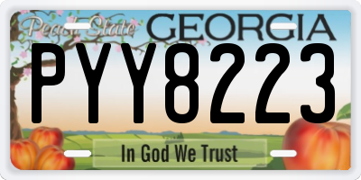 GA license plate PYY8223