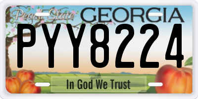 GA license plate PYY8224
