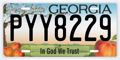 GA license plate PYY8229