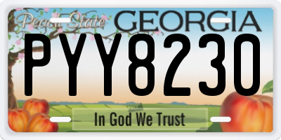 GA license plate PYY8230