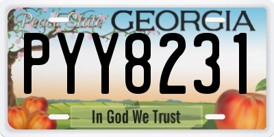 GA license plate PYY8231