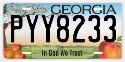 GA license plate PYY8233