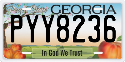 GA license plate PYY8236