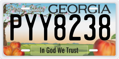 GA license plate PYY8238