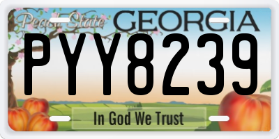 GA license plate PYY8239