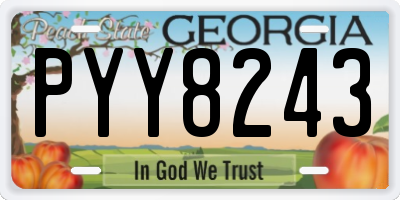 GA license plate PYY8243