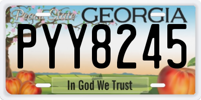 GA license plate PYY8245