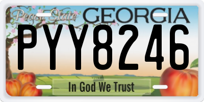 GA license plate PYY8246